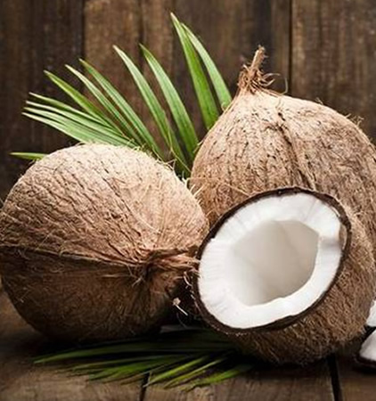 coconut