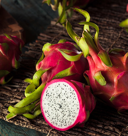 dragon fruit