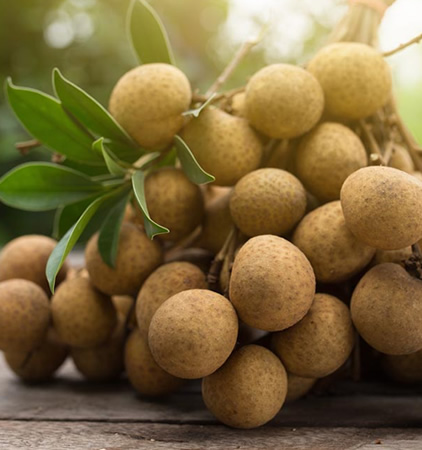 goldden longan