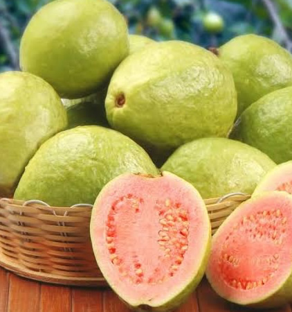 guava