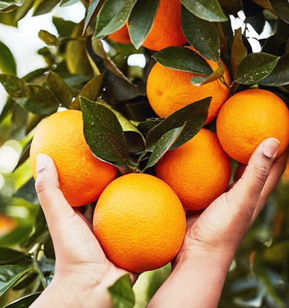orange