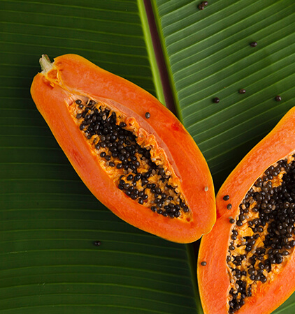 papaya