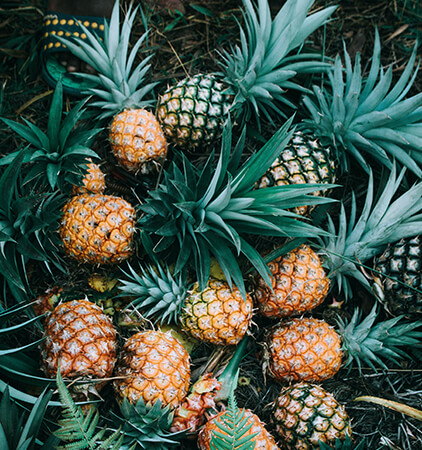 pineapple
