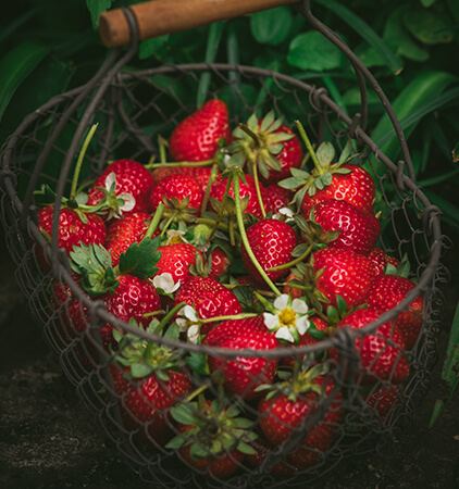 strawberry
